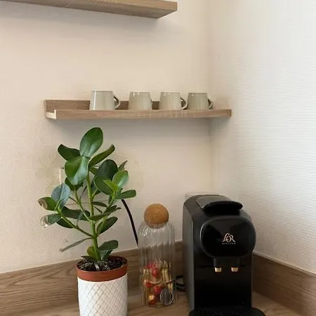 Apartment Lumineux De 92m2 Colmar