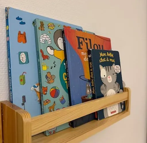 Lumineux De 92m2 Colmar